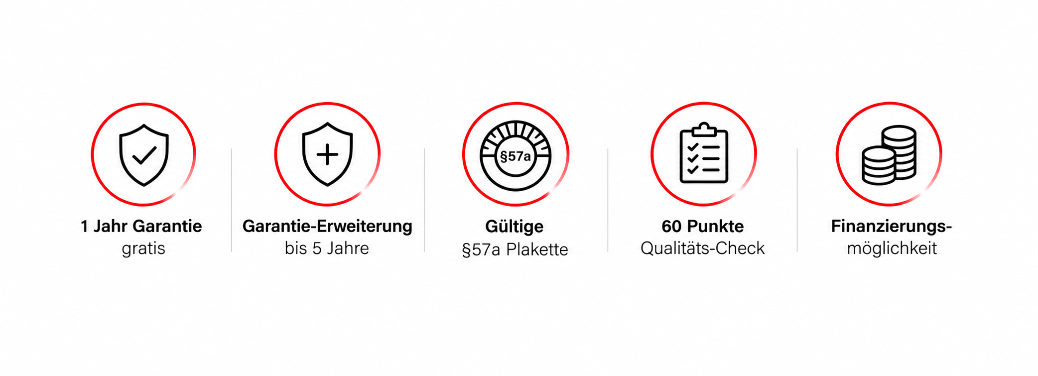 60-Punkte-Qualitätscheck, gültige §57a-Überprüfung und 12 Monate Garantie