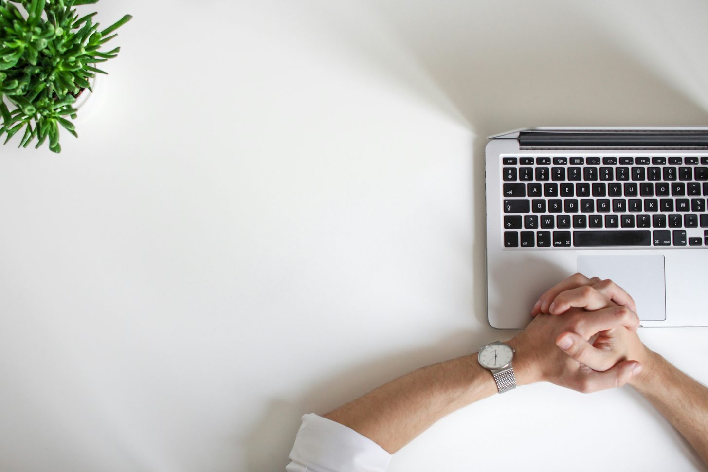 Hands clasped in front of an open laptop on a clean white desk beside a small potted plant